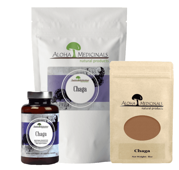 chaga