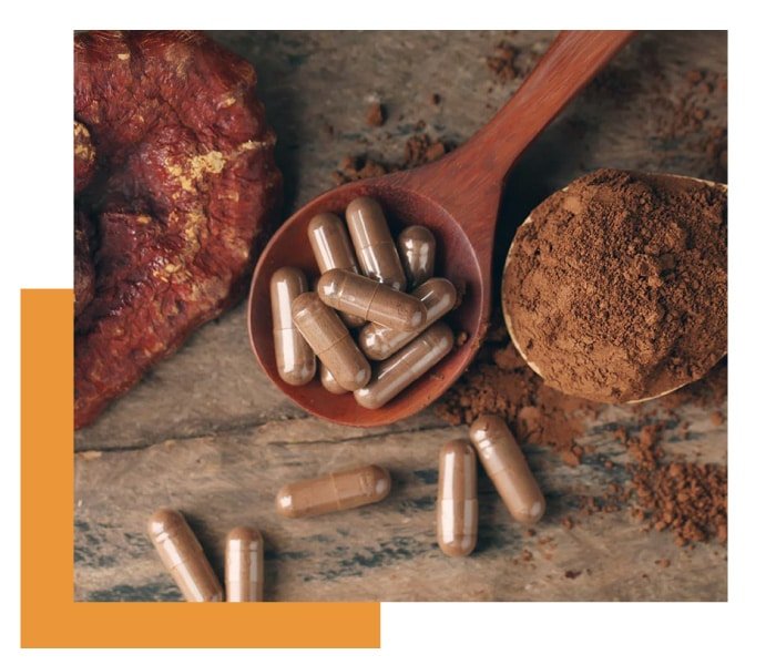 full spectrum mycoproducts