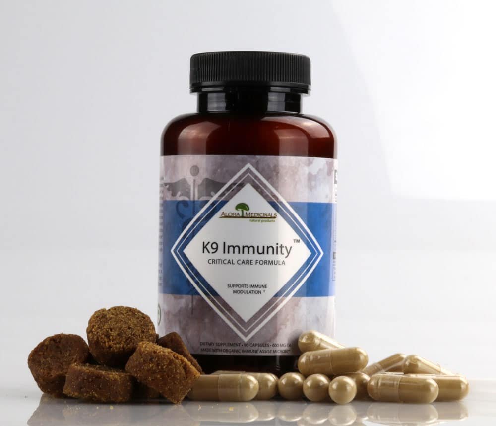 cordyceps benefits of mushrooms for dogs
