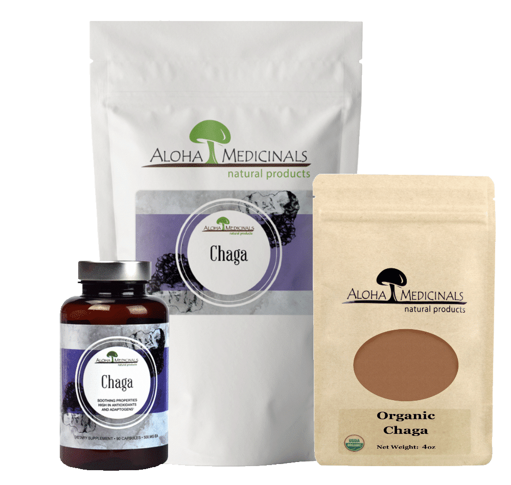 chaga