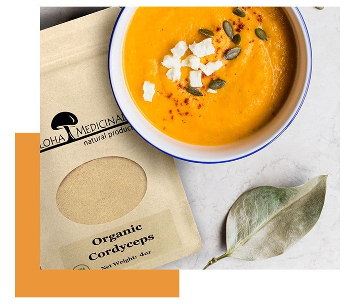 organic medicinal mushrooms, organic cordyceps