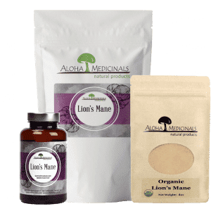 lion's mane mushroom supplements