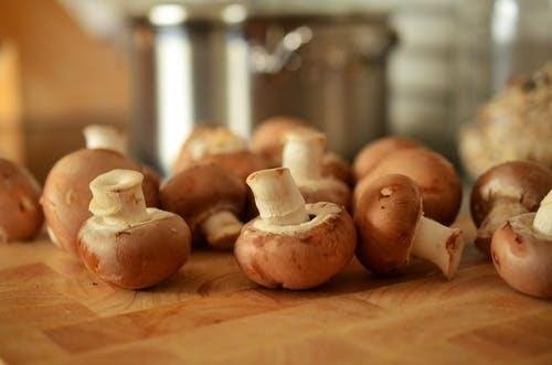 american mushroom institute