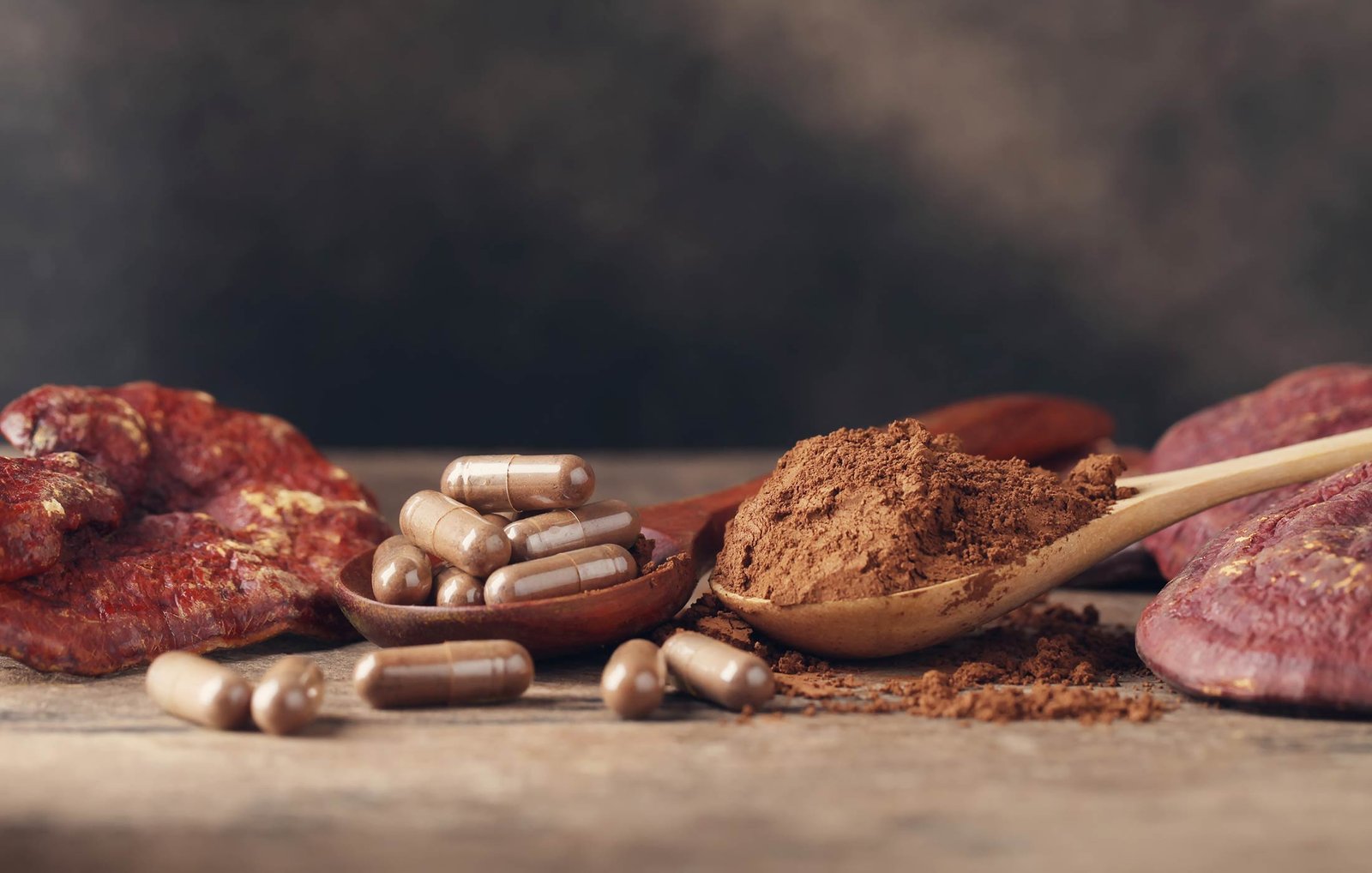 medicinal mushrooms
